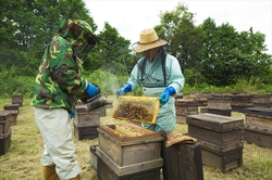 美甘養蜂園について