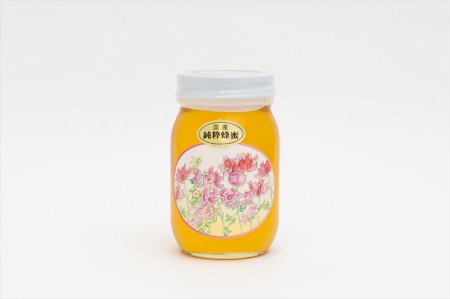 【割引】ご家庭用蜂蜜 れんげ蜜600g